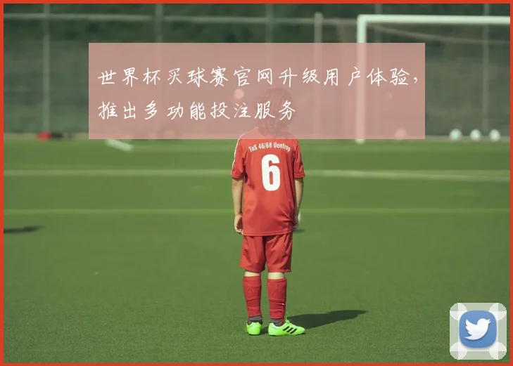 世界杯买球赛官网升级用户体验，推出多功能投注服务