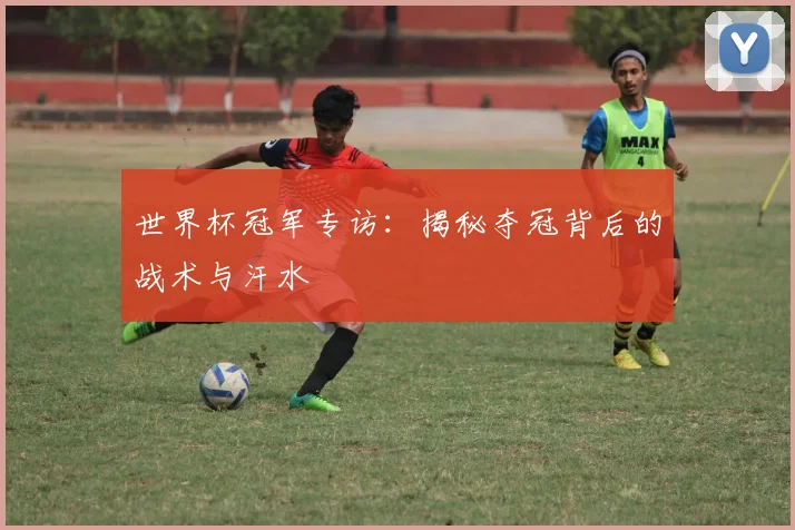 世界杯冠军专访：揭秘夺冠背后的战术与汗水